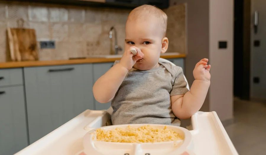 Panduan Lengkap Memilih Peralatan Makan untuk Restoran Anak-Anak: Keamanan, Desain Ceria, dan Durabilitas