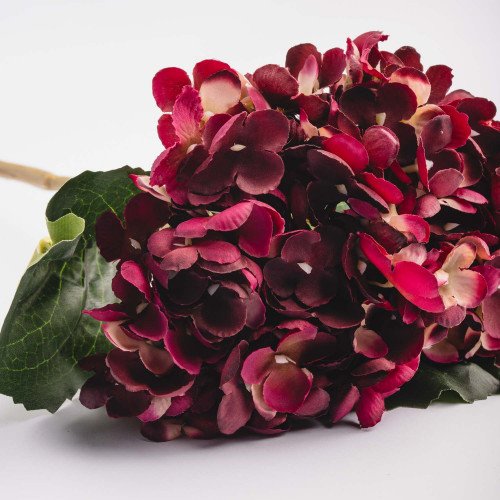 Euro Style Hydrangea Bunch - Deep Rose