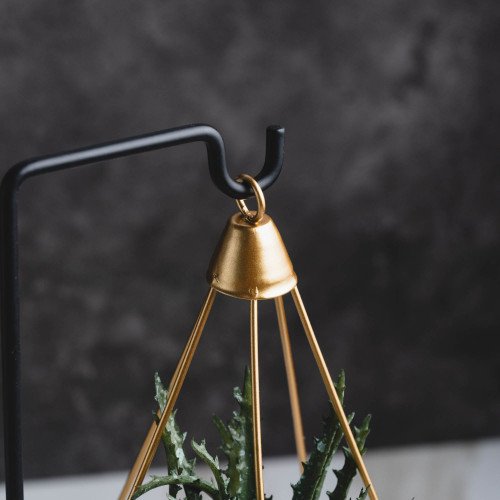 Iron Crafts #2 Double Hook Air Plant +Barbed Aloe