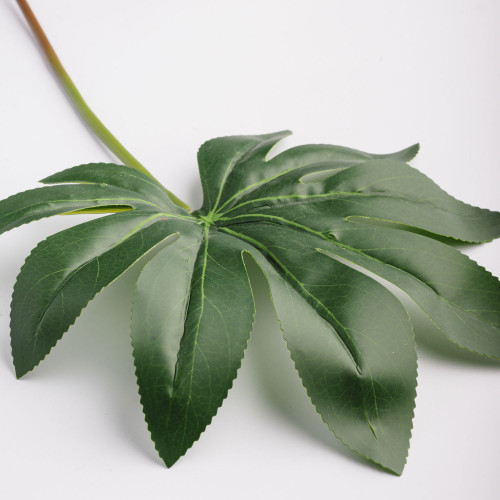 Leaf Branch Plant Octagonal Leaf