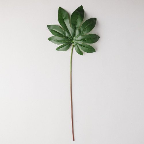 Leaf Branch Plant Octagonal Leaf 3