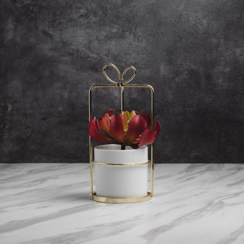 Succulent Plant Décor #1 Chitose Red