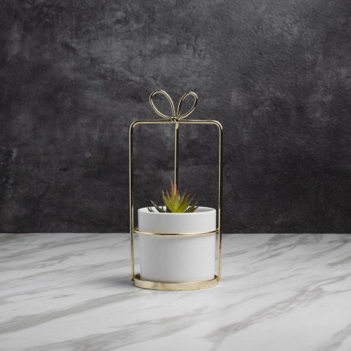 Succulent Plant Décor #2 Small Aloe
