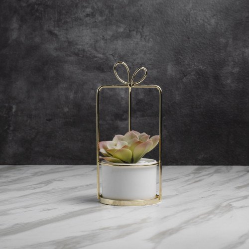 Succulent Plant Décor #4 Snow Lotus