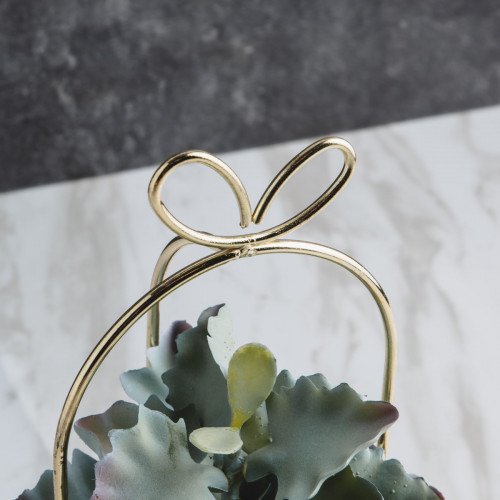 Succulent Plant Décor #6 Jagged Leaves