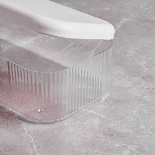 Transparent Plastic Container 24 x 14.2 x 8.4cm