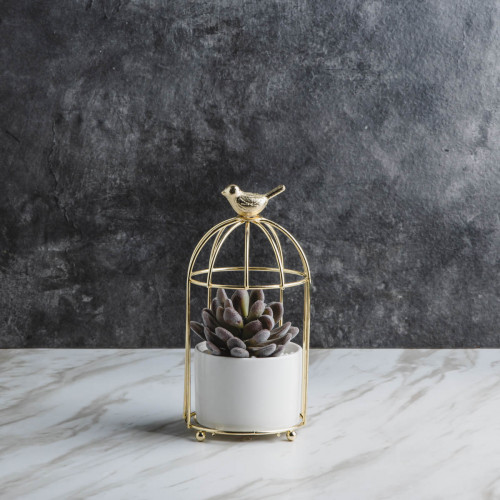 Bird's Cage Potted Plant #1 Prickly Aloe 2