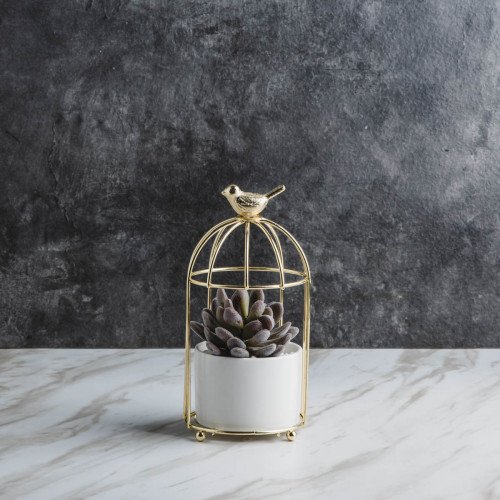 Bird's Cage Potted Plant #6 Purple Lotus