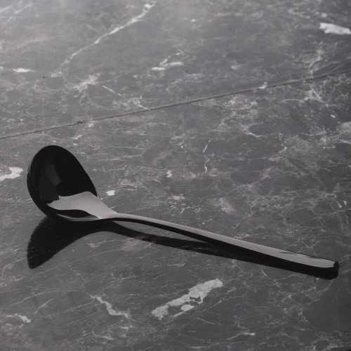 8 inches Serving Spoon Black