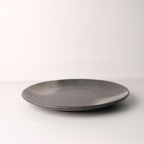 Dark Shaded 10" Dinner Plate 2