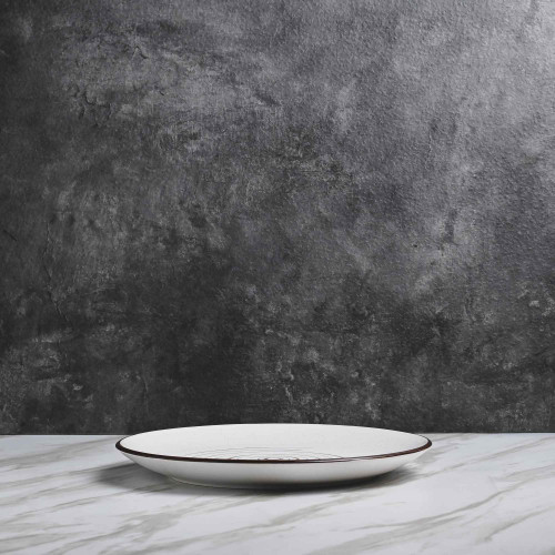 Inui Glaze Dinner Plate 10" 3