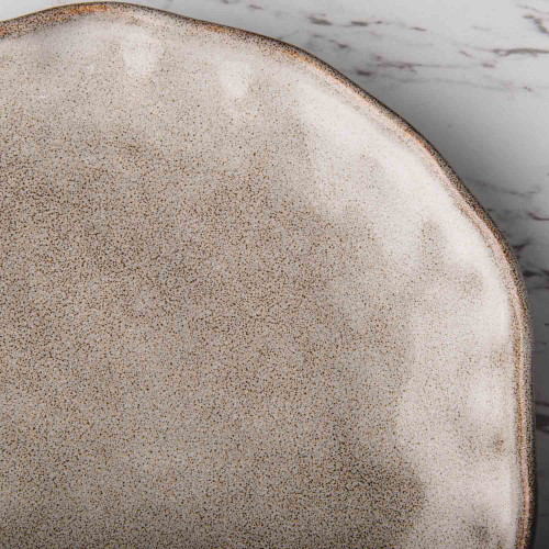 Sliver Tint Gray Dinner Plate 10" 4