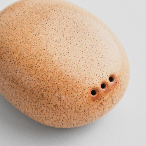 Ora Arica Pepper Dish 3
