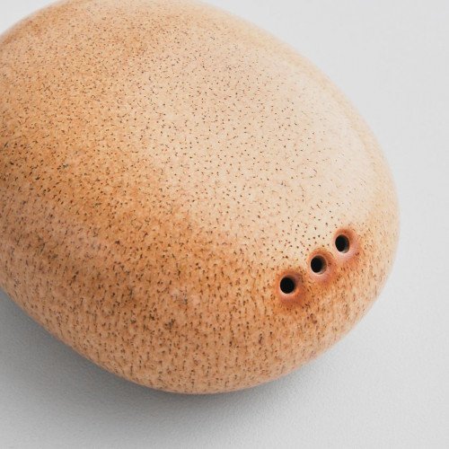 Ora Arica Pepper Dish 3